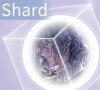 vulture shard/осколок карты